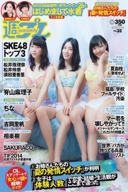 公主小妹第12集